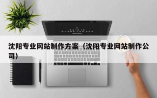 南城沈阳专业网站制作方案（沈阳专业网站制作公司）
